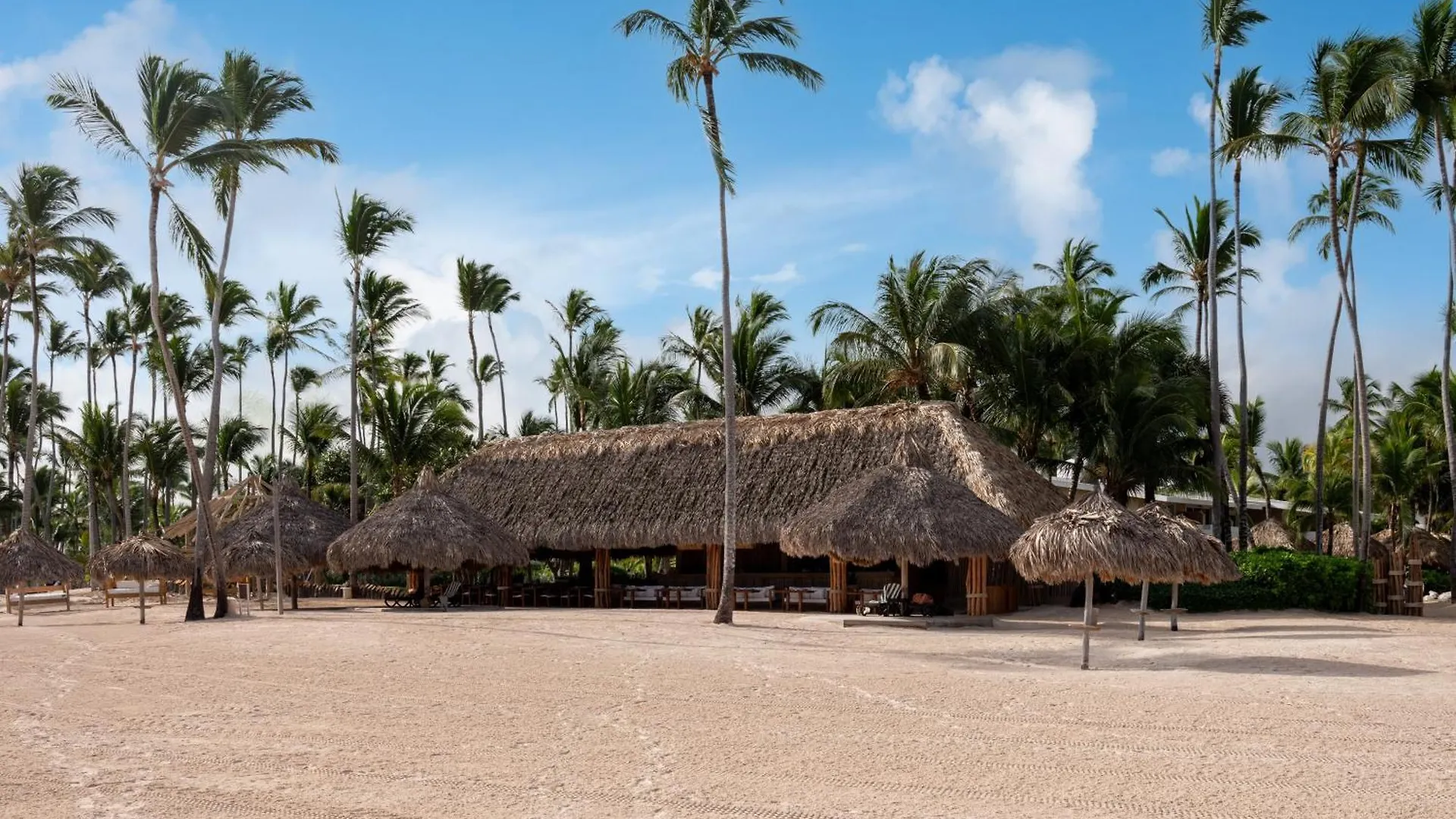 Zel Punta Cana Dominican Republic