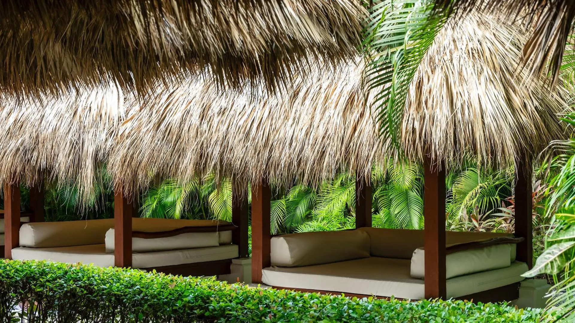 Zel Punta Cana 5*,  Dominican Republic