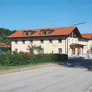 **** Hotel Witikohof Deutschland